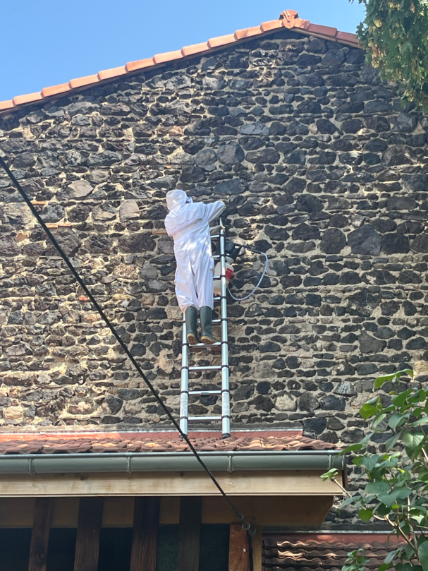 Sur l'échelle entrain de pulvériser. Sur l'échelle entrain de pulvériser.